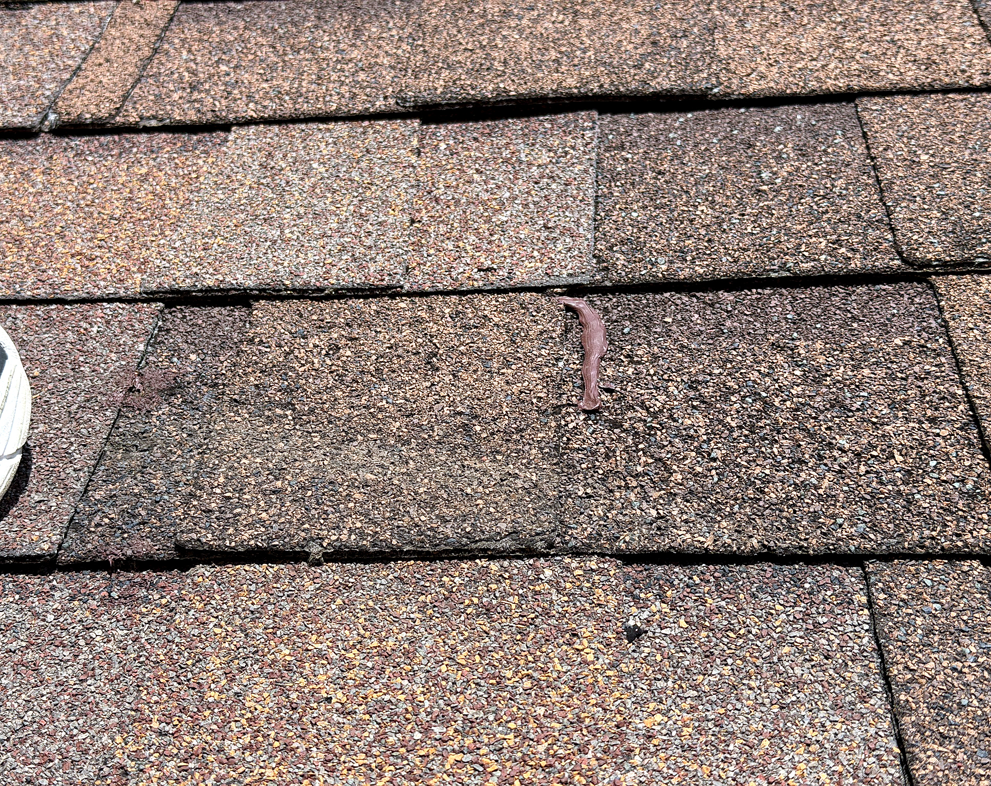 Granule loss and surface wear